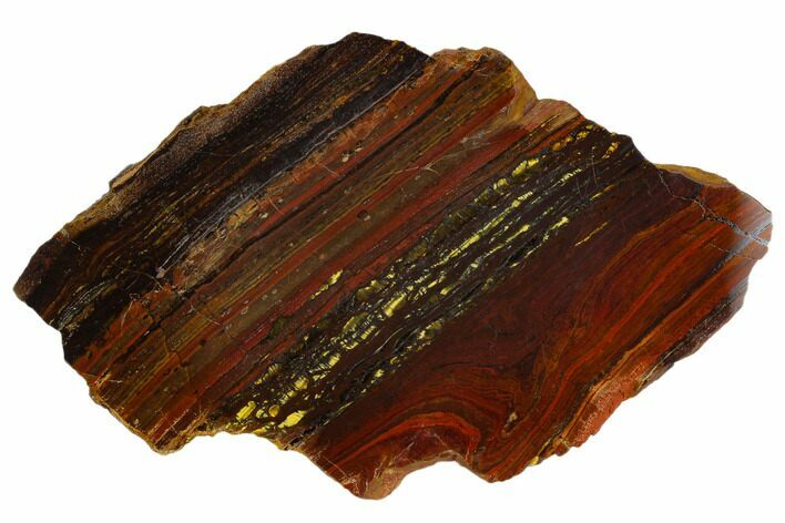 Polished Tiger Iron Stromatolite - Billion Years #129276